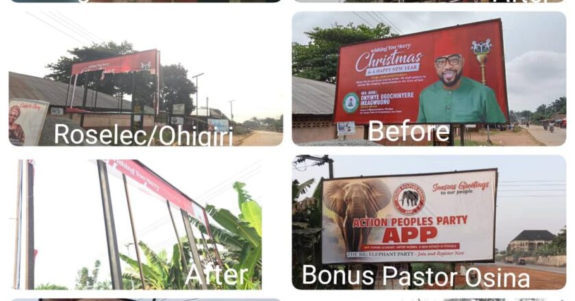 Imo Governorship Race: APP Condemns Ongoing Destruction of Party Billboards, Facilities