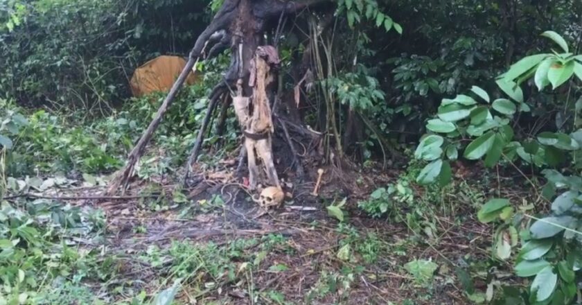 26-Year-Old Woman Abducted and Killed After Ransom Payment, Suspect Arrested in Rivers {VIDEO}