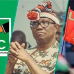 ‘Peter Obi or Nothing’ Slogans Are Not Helping Him — ADC