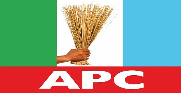 Uproar as Ebonyi APC pegs LG chairmanship form for N30m