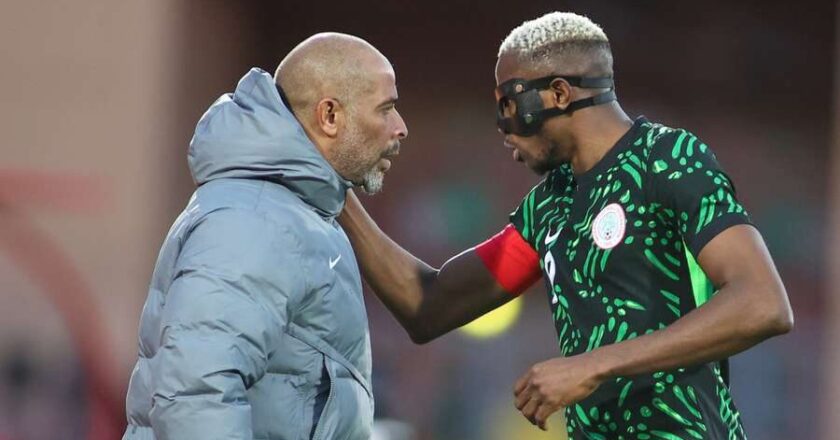 To Eric Chelle, Victor Osimhen Sets Standard for Super Eagles – Ndidi