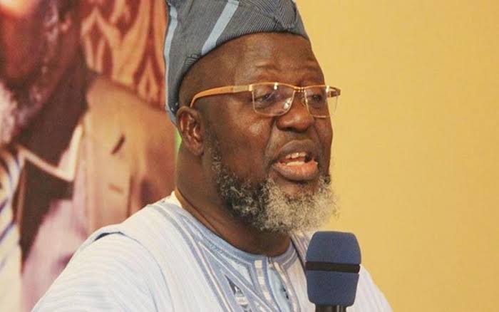 Ex-Minister Shittu Warns Against Granting Amnesty to Bandits