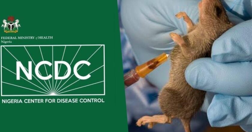 Hospital shut as suspected Lassa fever k!lls two pregnant women and 2 others in Nasarawa