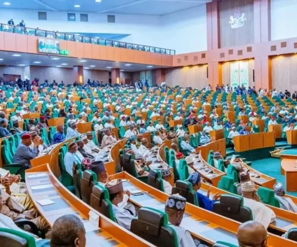 House of Reps Minority Caucus Confirms Changes to Gazetted Tax Laws