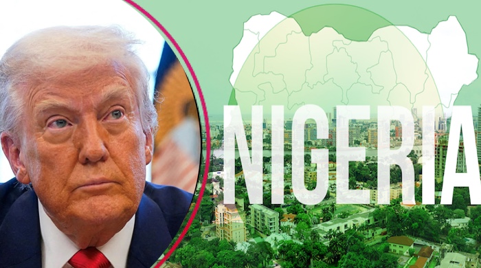 Over 33% of Nigerian Immigrants in US Receive Public Benefits — Trump