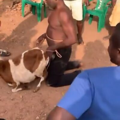 Man subjected to public humiliation after allegedly being caught engaging in unnatural c@rnal act with sheep (video)