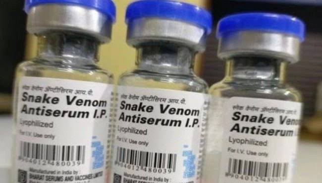 Anti-snake venom scarce. It costs as much as N250, 000- Gombe snakebite hospital MD says