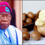 BREAKING : Tinubu extends raw shea nut export ban by one year