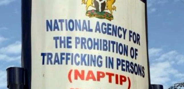 NAPTIP raids popular Onitsha hotel, arrests four, rescues 17 victims trafficked for pr0stitution