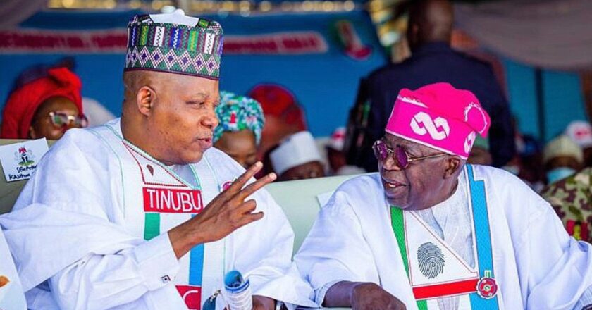 NEC Conference: Tinubu Highlights Administration’s Achievements, Commends Shettima