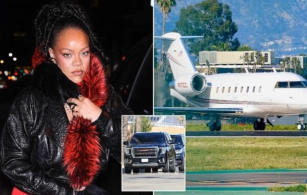 Singer Rihanna jets out of LA after shooter is charged with attempted murder for attack at her mansion
