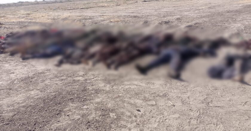 Bodies of 63 ISWAP terrorists recovered after failed attack on military location in Borno {PHOTOS}