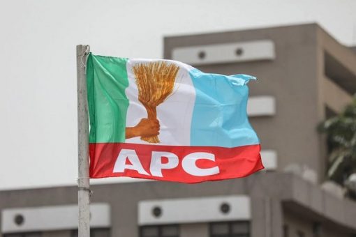 Shock in Lagos APC as Newly Re-Elected Assistant Publicity Secretary Dies Suddenly