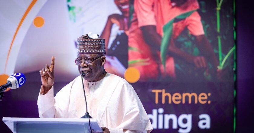 Nigeria won’t surrender to troublemakers – Tinubu vows