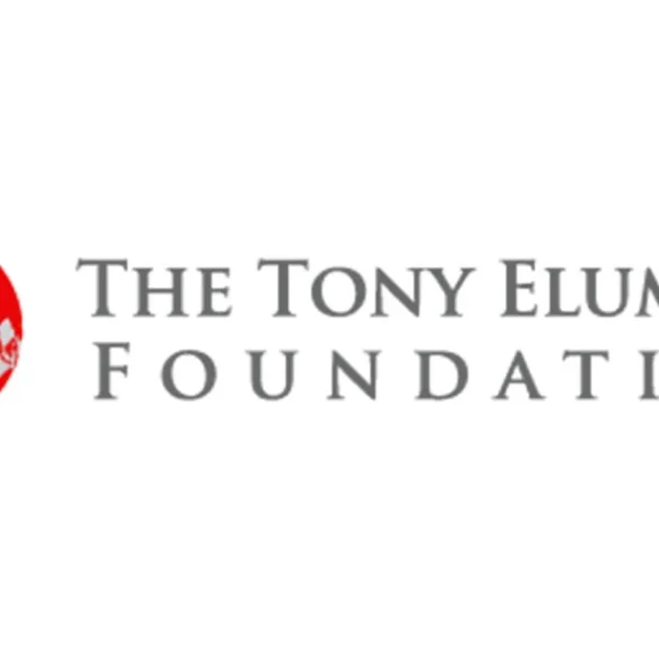 Elumelu Foundation unveils 12th entrepreneurship cohort Sunday