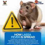 Lagos raises Lassa Fever alarm, launches Statewide Campaign