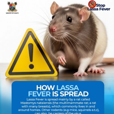 Lagos raises Lassa Fever alarm, launches Statewide Campaign