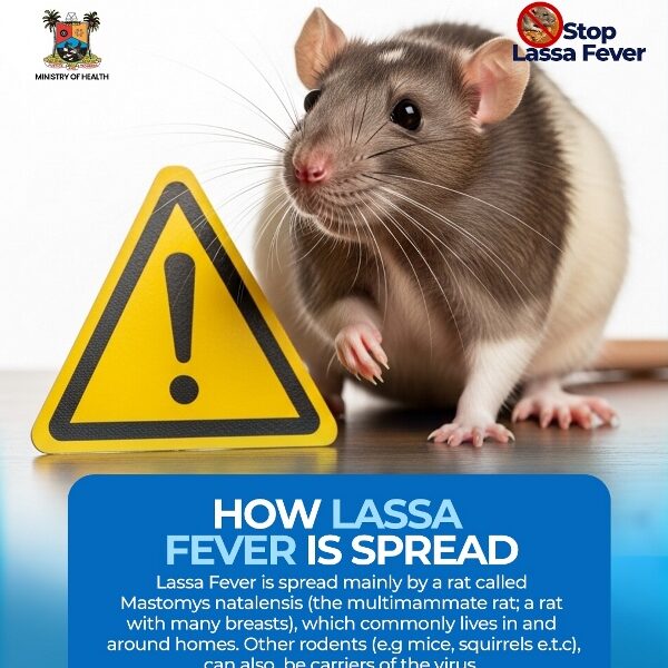 Lagos raises Lassa Fever alarm, launches Statewide Campaign