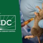 One confirmed de@d as Oyo records five confirmed Lassa fever cases