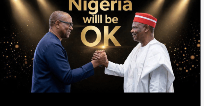 NDC Urges Obi, Kwankwaso to Join Party Ahead of 2027 Presidential Race