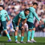 Wolverhampton Wanderers F.C. relegated after Premier League survival hopes end