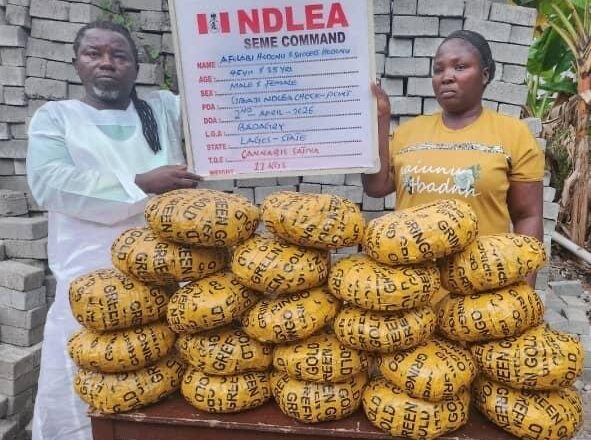 NDLEA arrests Celestial Church pastor, wife with ’11kg skunk’ concealed in vehicle at Seme border