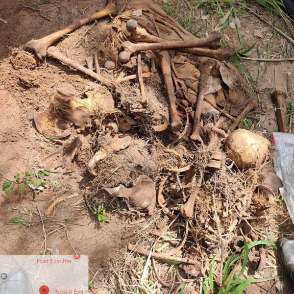 UPDATE : Army recovers remains of slain military couple in Imo forest