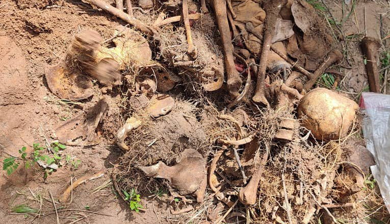 UPDATE : Army recovers remains of slain military couple in Imo forest