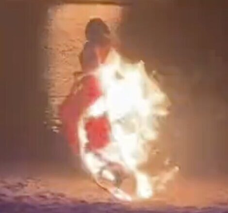 Shocking moment dancer is engulfed in flames during zoo performance {VIDEO}