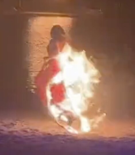 Shocking moment dancer is engulfed in flames during zoo performance {VIDEO}