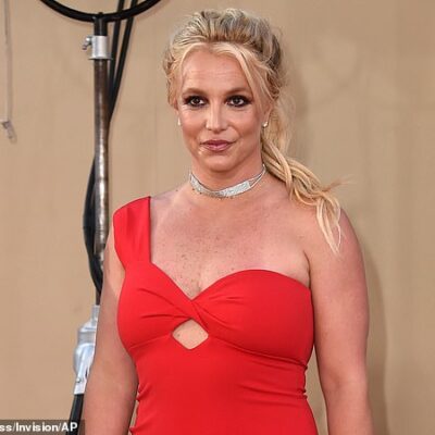 Pop star Britney Spears gets 12-month probation for reckless driving
