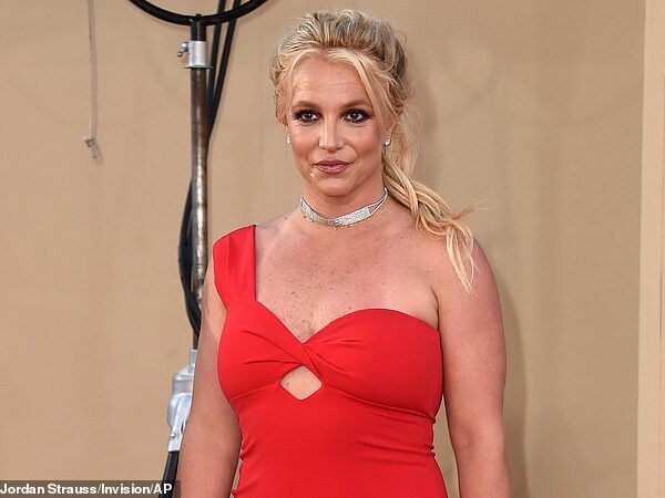 Pop star Britney Spears gets 12-month probation for reckless driving