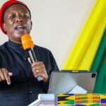 How many jobs have you created? Unskilled men with no skills- Julius Malema, slams his compatriots accusing Nigerians, Ghanaians and other African nationals of taking their jobs