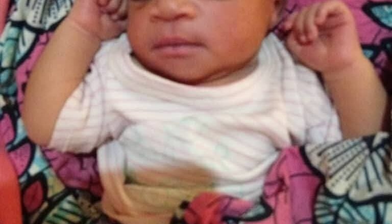 Police rescue abandoned day-old baby, arrest motorcycle thieves in Yobe 