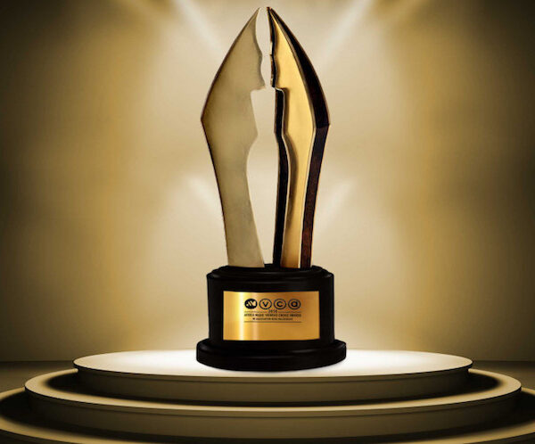 AMVCA 2026: Full list of winners