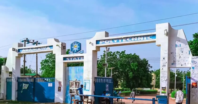 Armed Robbers Invade Adamawa Poly Female Hostel, Steal Phones and Valuables