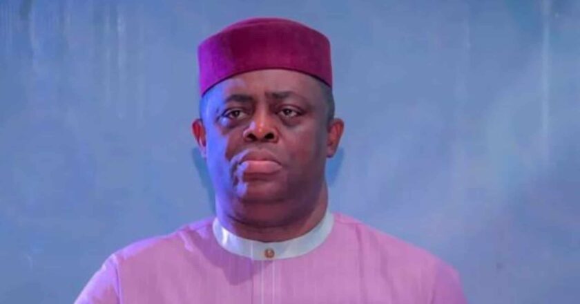 Fani-Kayode reassigned as South Africa ambassador-designate after Germany posting