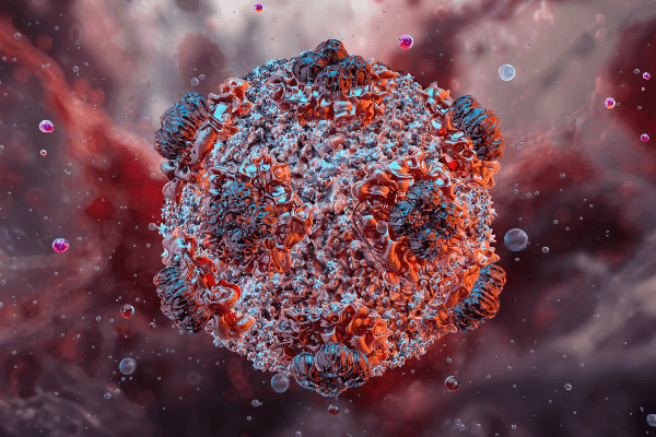 UPDATE : No Confirmed Hantavirus Case In Nigeria – NCDC reveals