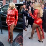 Tennis star, Serena Williams faces backlash for her dress at the pre-Met Gala