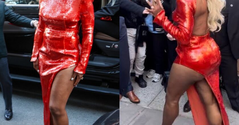 Tennis star, Serena Williams faces backlash for her dress at the pre-Met Gala