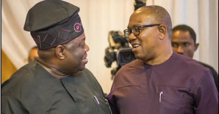 Peter Obi Left ADC Because He Knew He Couldn’t Beat Atiku’ — Momodu says