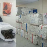 NDLEA arrests Chinese grandma with large consignment of illicit drugs 