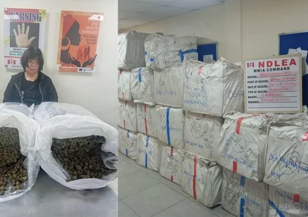 NDLEA arrests Chinese grandma with large consignment of illicit drugs 