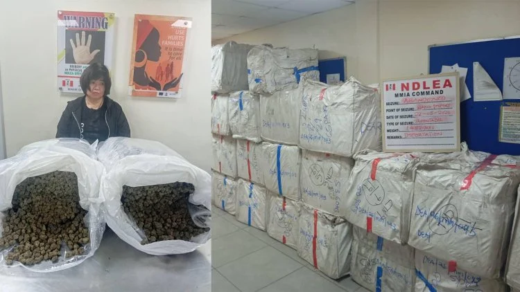 NDLEA arrests Chinese grandma with large consignment of illicit drugs 