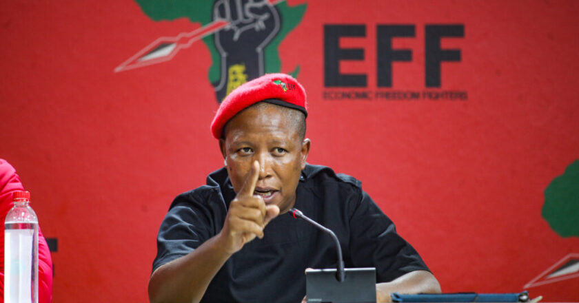 Anti-Immigration marches sponsored by the government – South African opposition leader, Julius Malema { VIDEO}