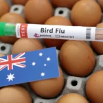 JUST IN : Australia Records First Case of Highly Contagious H5 Bird Flu