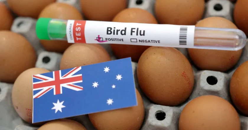 JUST IN : Australia Records First Case of Highly Contagious H5 Bird Flu