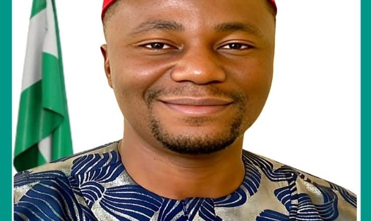 US court sentences Anambra LG chairman to five years imprisonment for $3.5m romance scam