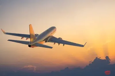 Domestic air travel fare rose 20.8% from May 2025 to May 2026