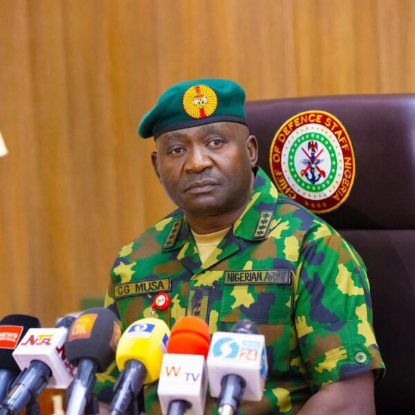 Terrorism Persists in Nigeria Due to Local Support, Says Defence Minister